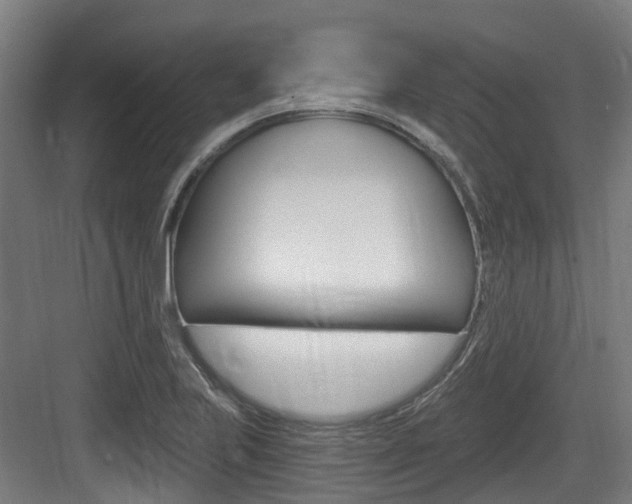 X0000083651223200702120828