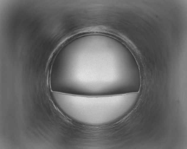 X0000083651224200702120828
