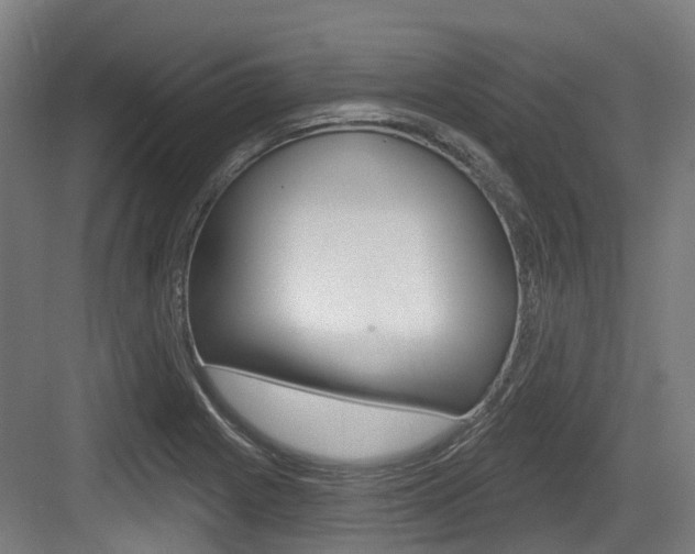 X0000083651225200702120828