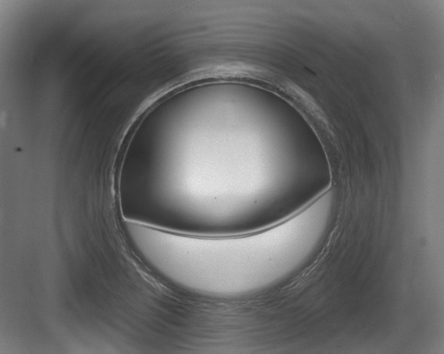 X0000083651226200702120828