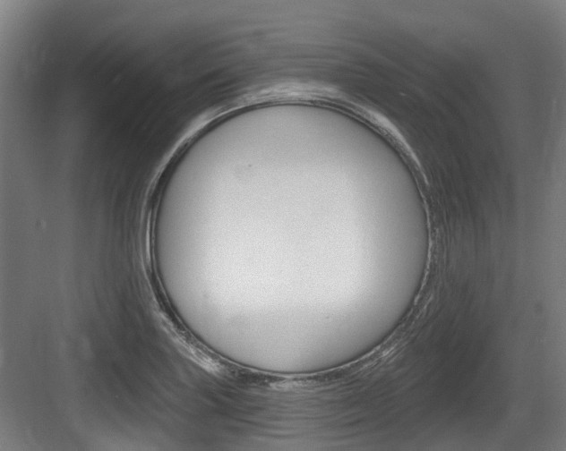 X0000083651227200702120828