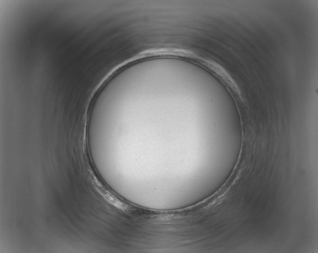 X0000083651228200702120828