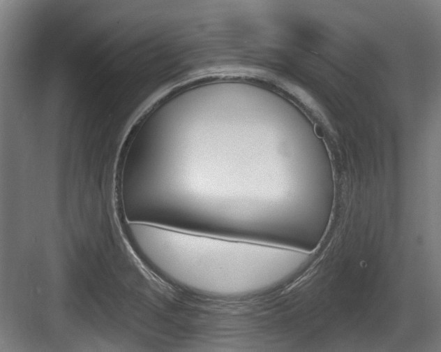 X0000083651229200702120828