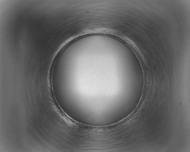 X0000083651230200702120828