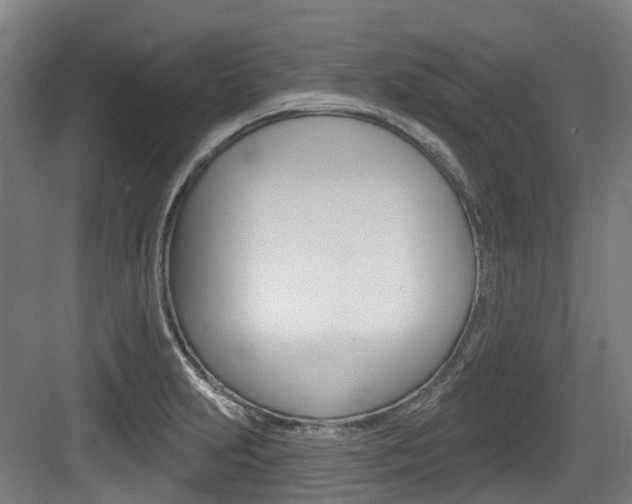 X0000083651231200702120828
