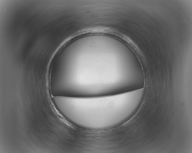 X0000083651232200702120828