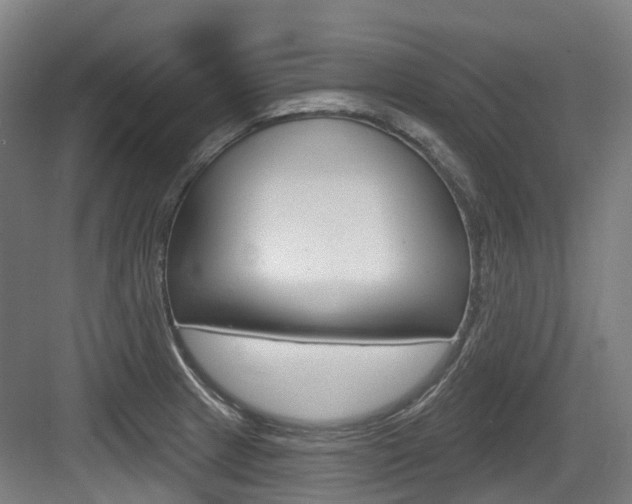 X0000083651233200702120828