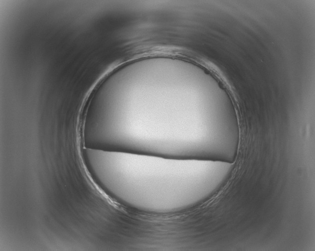X0000083651235200702120828