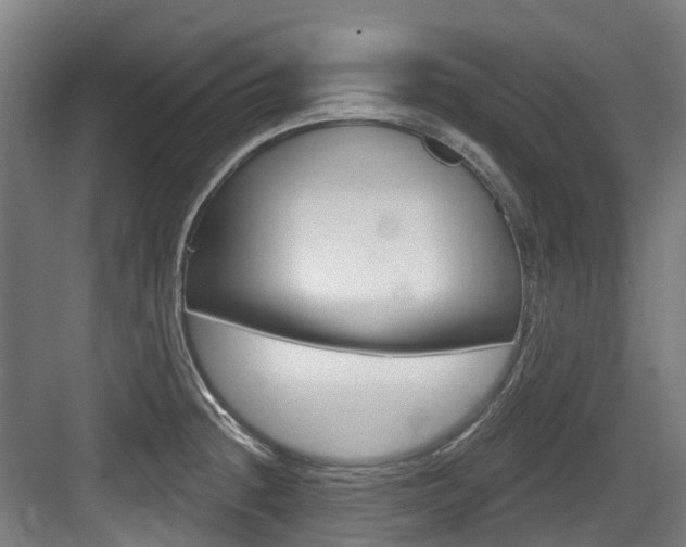 X0000083651236200702120828