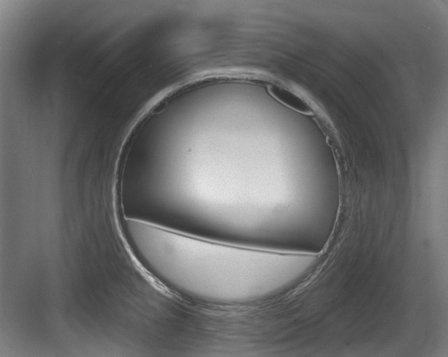 X0000083651237200702120828