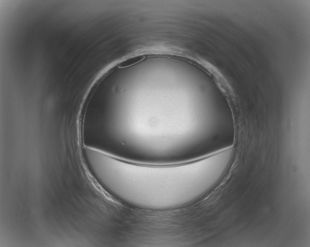 X0000083651238200702120828