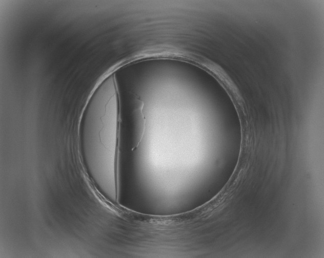 X0000083651242200702120828