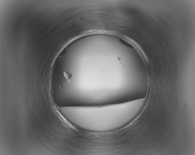 X0000083651244200702120828