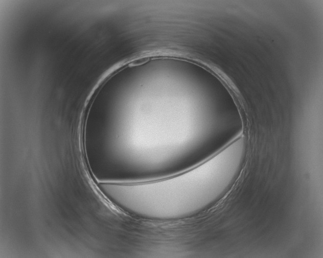 X0000083651246200702120828