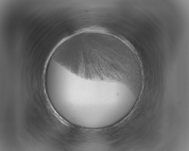 X0000083651248200702120828