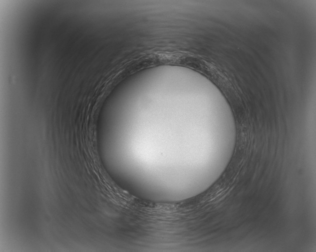 X0000083651249200702120827
