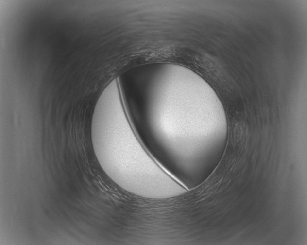 X0000083651250200702120827