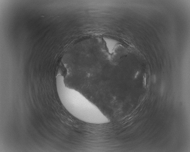 X0000083651251200702120827