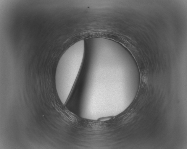 X0000083651252200702120827