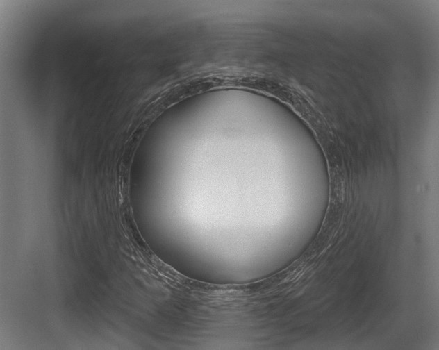 X0000083651253200702120827