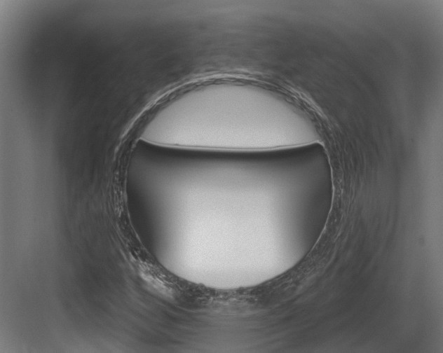 X0000083651256200702120827
