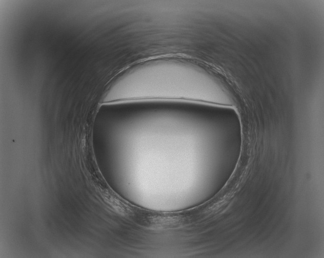X0000083651257200702120827