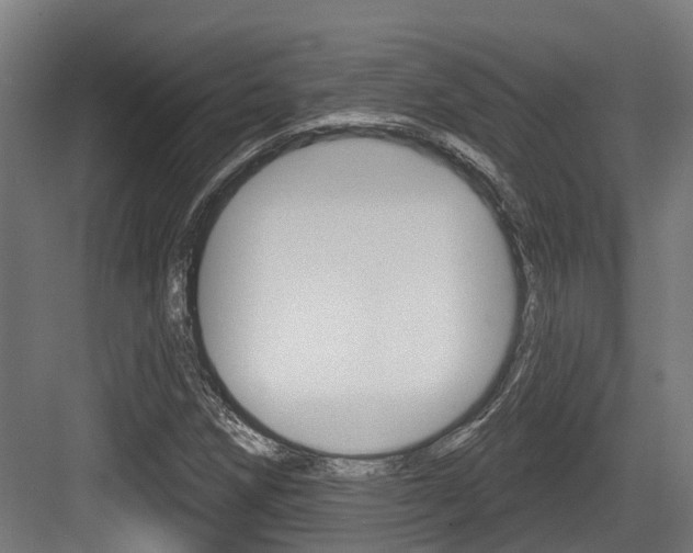 X0000083651258200702120827