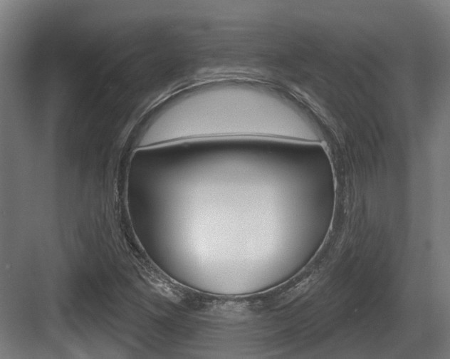 X0000083651261200702120827
