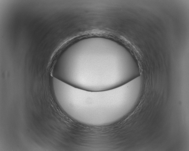 X0000083651262200702120827