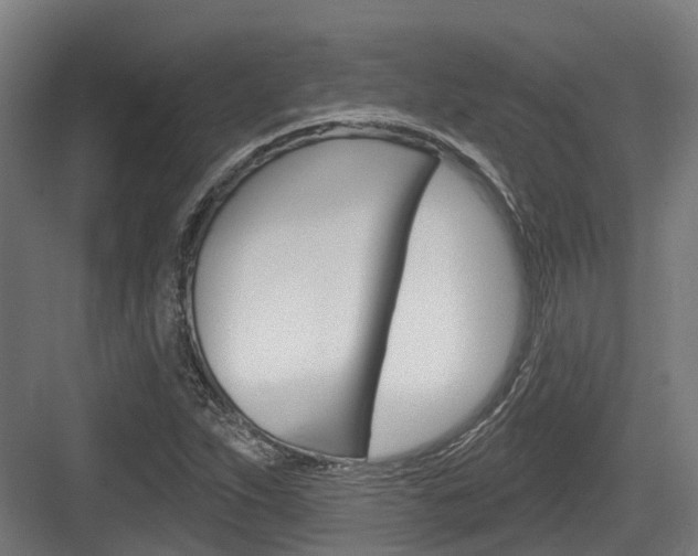 X0000083651263200702120827