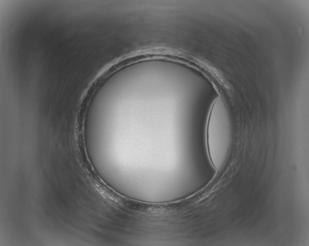 X0000083651264200702120827