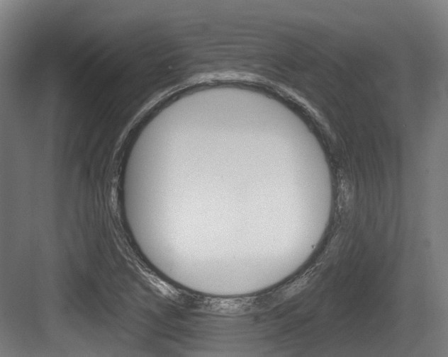 X0000083651266200702120827