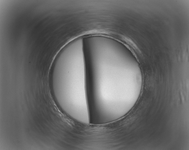 X0000083651268200702120827