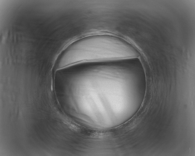 X0000083651269200702120827