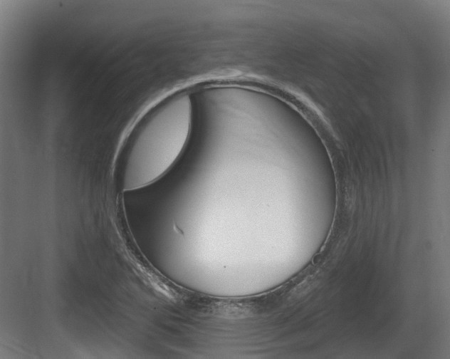 X0000083651270200702120827
