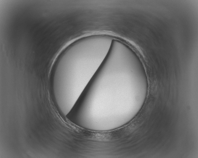 X0000083651271200702120827