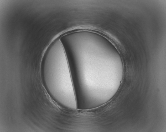 X0000083651272200702120827