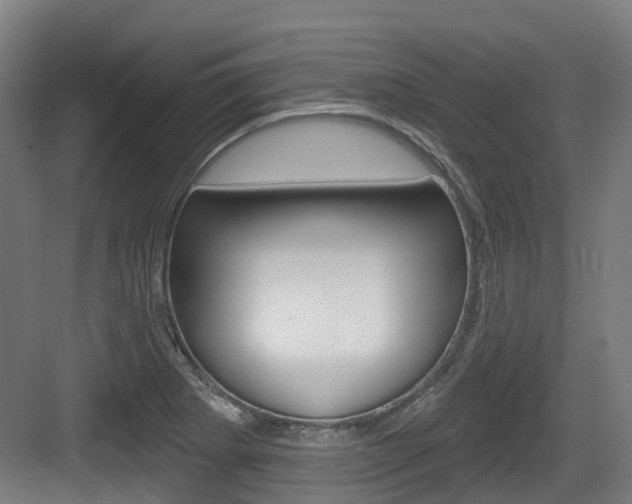 X0000083651273200702120827