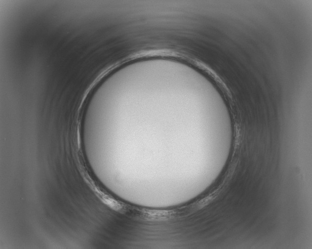 X0000083651274200702120827