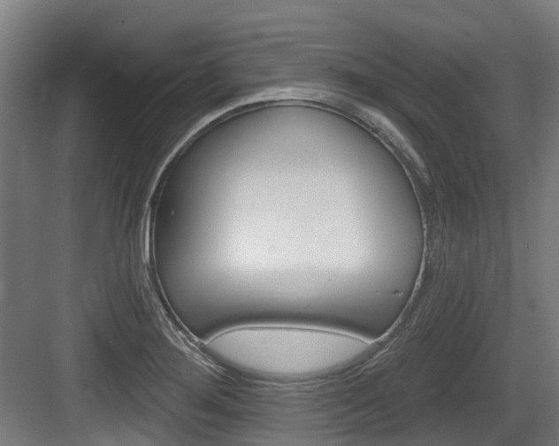 X0000083651276200702120827