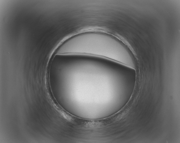 X0000083651277200702120827