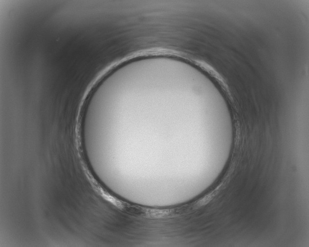 X0000083651278200702120827