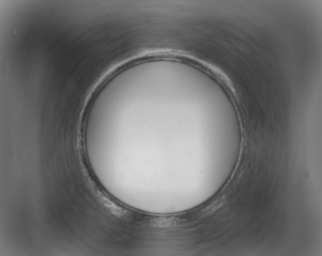 X0000083651279200702120827
