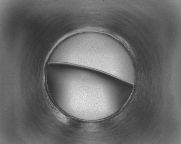 X0000083651280200702120827