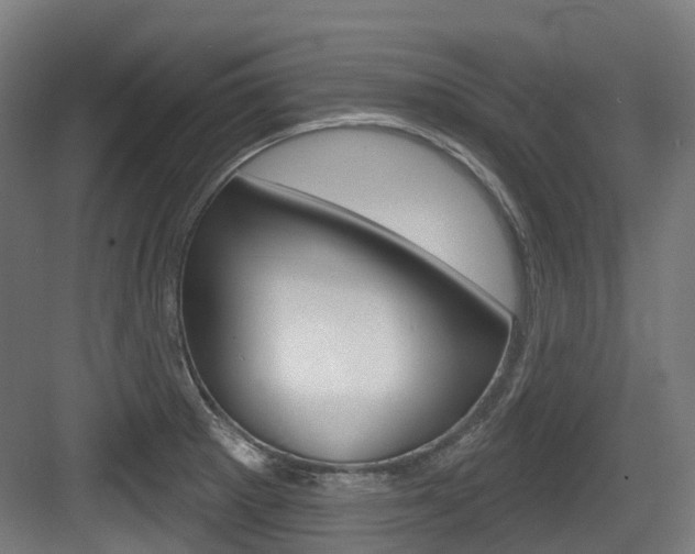 X0000083651281200702120827