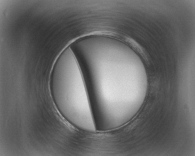 X0000083651284200702120827