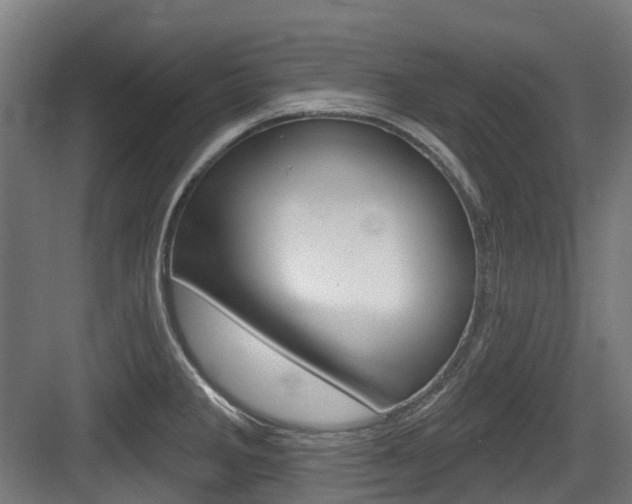 X0000083651285200702120827