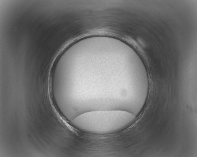 X0000083651286200702120827