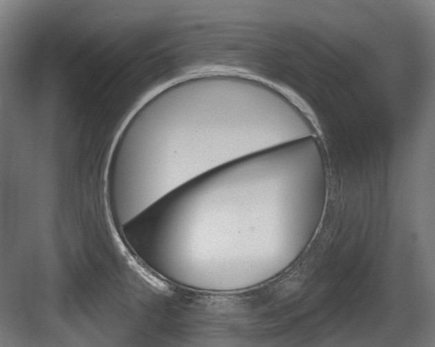 X0000083651287200702120827