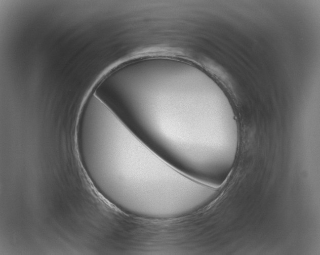 X0000083651288200702120827